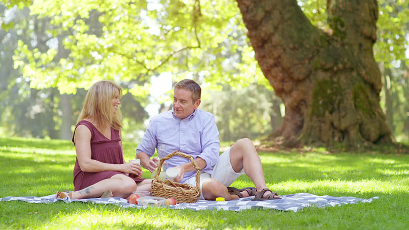 picnic in summer